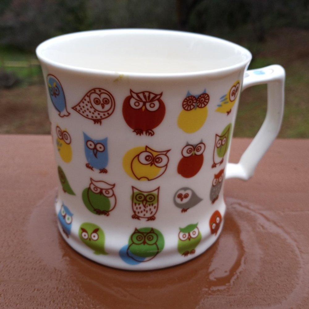 Vintage Super cool Owl Mug - Picture 1 of 2